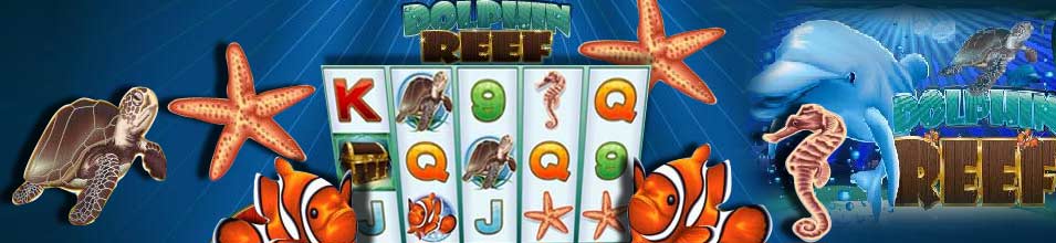 Dolphin Reef 01