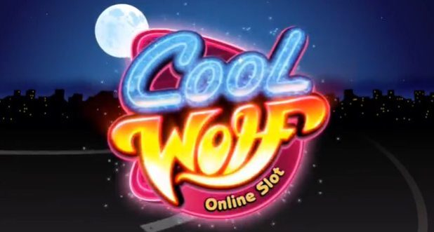 cool-wolf-00