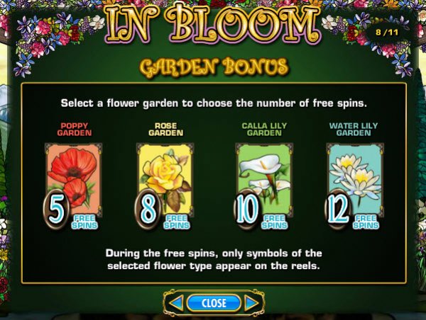 in-bloom-info