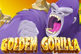 Golden Gorilla 01