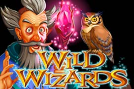 wild-wizards-log