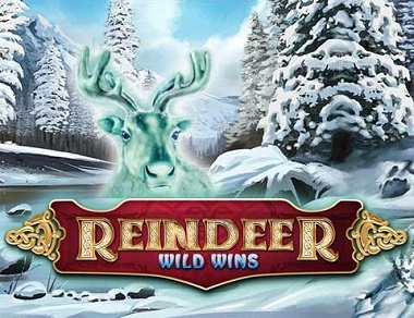 Reindeer-Wild-Wins-logo