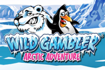 wild-gambler-arctic-adventure-logo