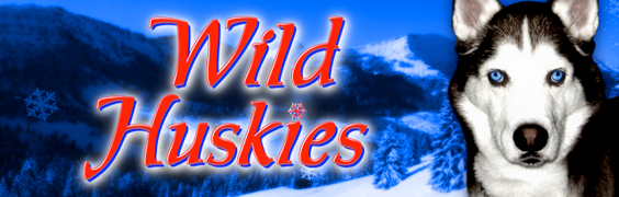 wild-huskys-logo