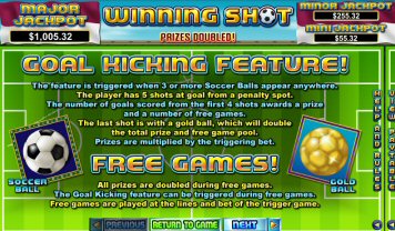 winning-shot-info