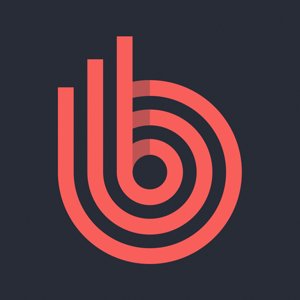 betspin-logo3
