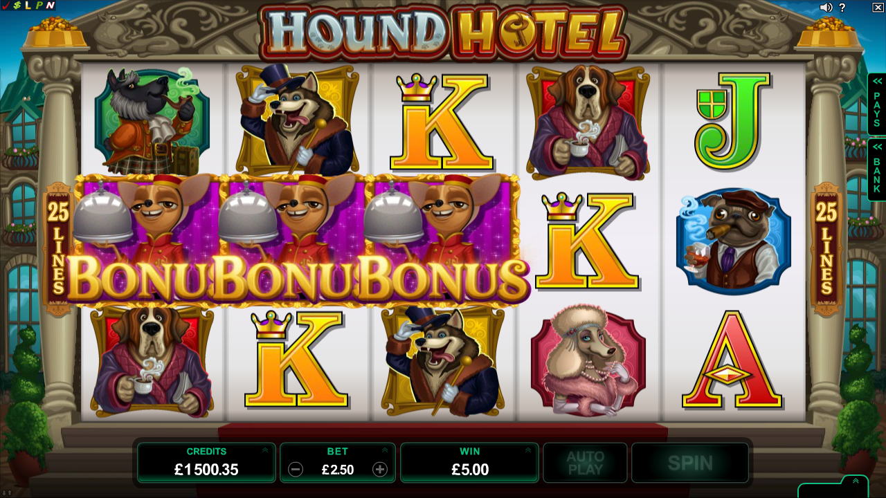 hound-hotel-slot1