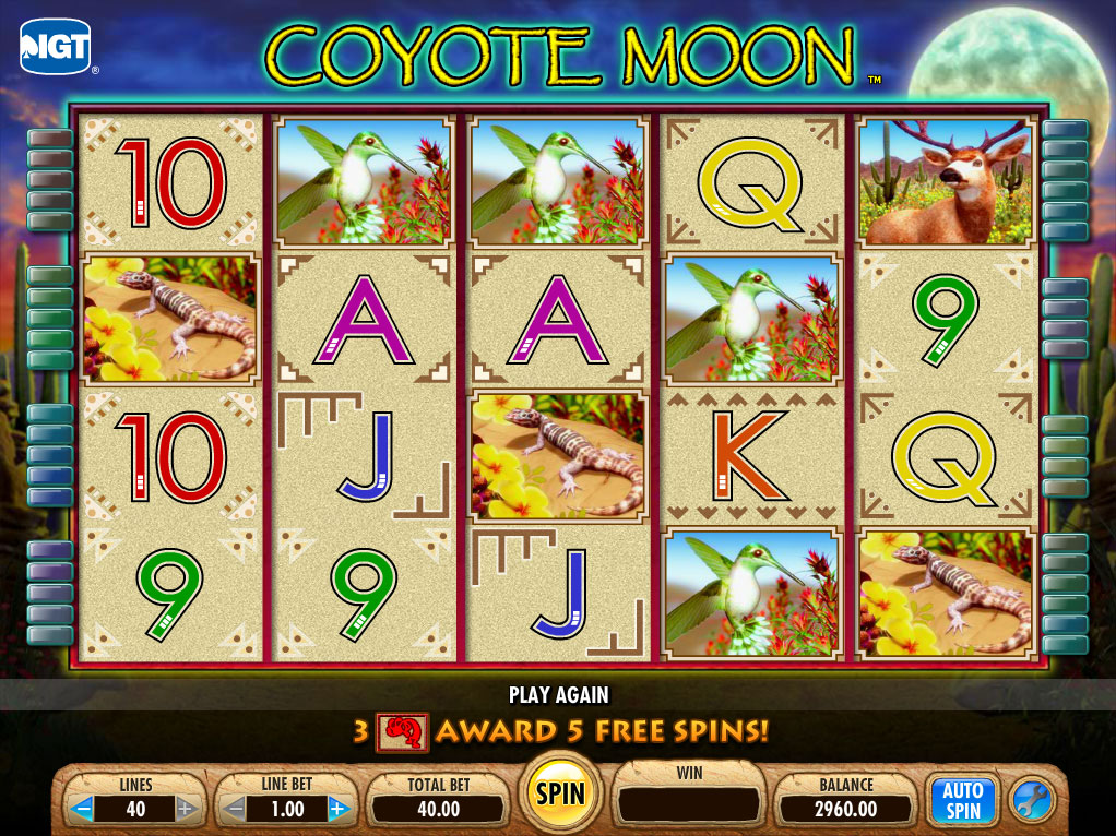 coyote-moon-slot1