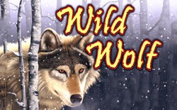 wild-wolf-logo