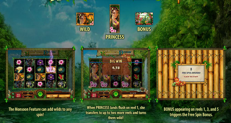 rainforest-dream-info