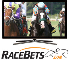 racebets-livestreaming