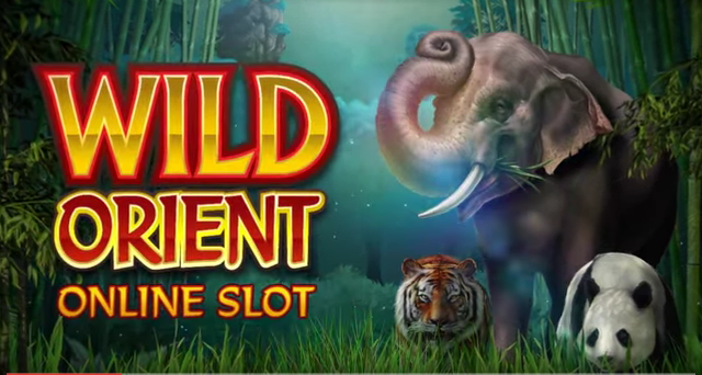 wild-orient-logo1